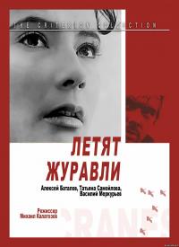 Показ фильма "Летят журавли" (1957) в нашем субботнем КИНОклубе